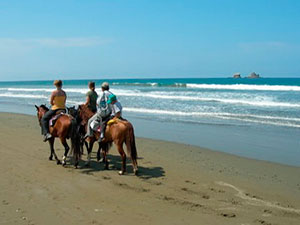 Horseback Riding